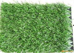 国产人人草,人人草，绿色健康生活新选择